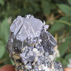 Spinel Twinned Galena Bulgaria